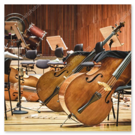 Esibizione in auditorium illuminato – Crediti: Foto © Autore